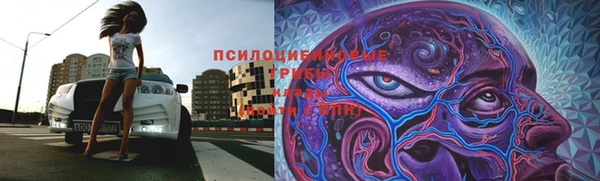 винт Гвардейск