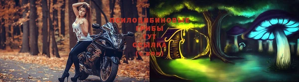 первитин Осинники