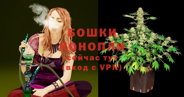 первитин Осинники