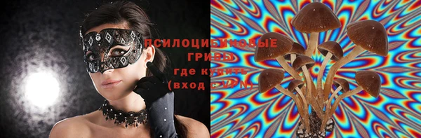 первитин Осинники