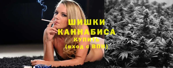 первитин Осинники
