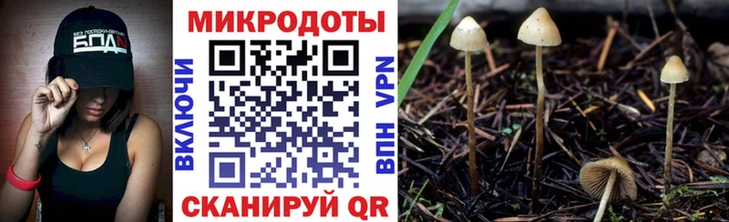 купить   hydra как зайти  Псилоцибиновые грибы MAGIC MUSHROOMS  Азнакаево 