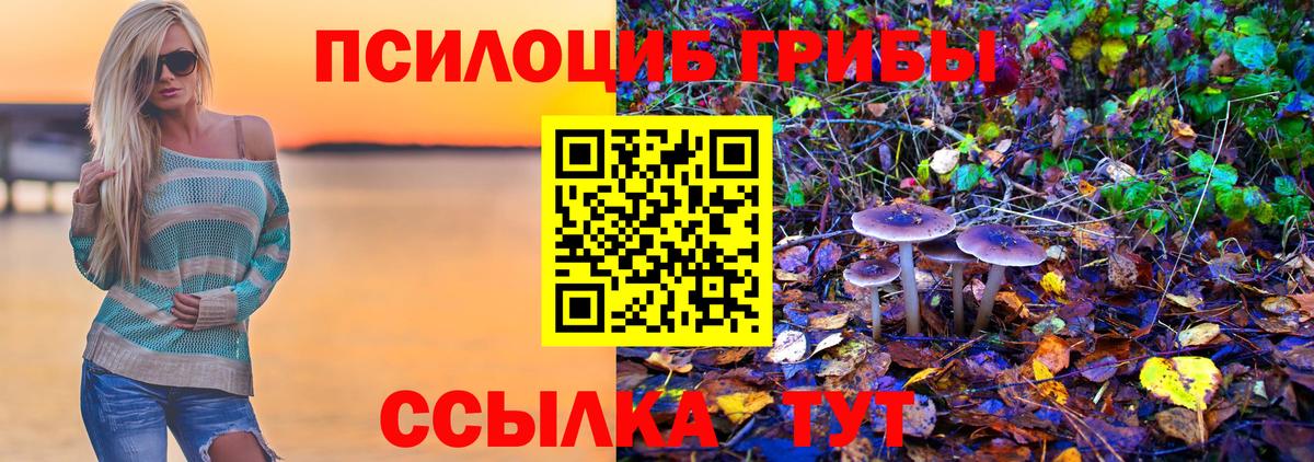 Псилоцибиновые грибы мухоморы Азнакаево